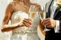 Illustrated Close-Up of Bride and Groom Toasting with Champagne Royalty Free Stock Photo