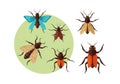 Llustrated collection of various insects against a plain white background Royalty Free Stock Photo