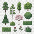 Illustrated collection of various types of trees, shrubs, and garden plants Royalty Free Stock Photo