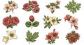 Illustrated floral elements feature a diverse array of blooming flowers and detailed