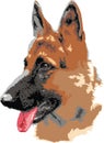 German shepard dog portrait Royalty Free Stock Photo