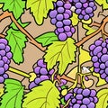 Illustrated Grape Tile