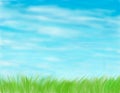 Illustrated green grass and blue skies