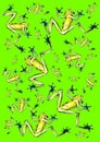 Illustrated Green Tree Frog Pattern