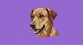Illustrated head of a brown dog on a solid purple background. The dog has Royalty Free Stock Photo
