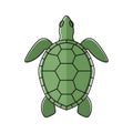 Illustrated image of a green sea turtle (Chelonioidea), viewed from above Royalty Free Stock Photo