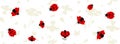 Illustrated Ladybird bugs with light green stylized plants background- Facebook cover