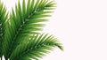 Illustrated palms with empty right half for textgraphics against a clean white backdrop Royalty Free Stock Photo