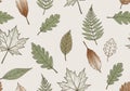 Illustrated pattern of various leaves on a light background. The Royalty Free Stock Photo