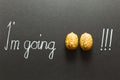 Illustrated phrase I am going nuts Royalty Free Stock Photo