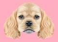 Illustrated portrait of American Cocker Spaniel puppy