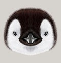 Illustrated portrait of Emperor penguin chick Royalty Free Stock Photo
