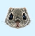Illustrated portrait of Flying squirrel