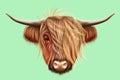 Illustrated portrait of Highland cattle