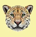 Illustrated portrait of Jaguar