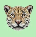 Illustrated portrait of Jaguar