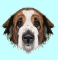 Illustrated Portrait of Moscow Watchdog dog