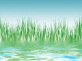 Illustrated reed pond panorama Royalty Free Stock Photo