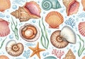 Illustrated sea-themed pattern featuring various seashells, Royalty Free Stock Photo