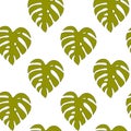 Illustrated seamless background with green monstera leaves on a Royalty Free Stock Photo