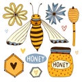 Illustrated set with hand drawn bee, honey jar, dipper and wildflowers. Homemade honey collection for unique design. Vector Royalty Free Stock Photo