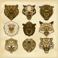 Illustrated set of wild animals