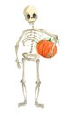 Illustrated skeleton with pumpkin Halloween