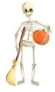 Illustrated skeleton with pumpkin and whisk Halloween