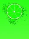 Illustrated summer banner with slice of lime