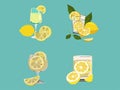 Illustrated Temptations of Lemonade