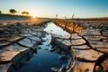 The impact of climate change, featuring a solitary tree standing on parched, dry land. AI Generated Illustration. Royalty Free Stock Photo