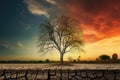 The impact of climate change, featuring a solitary tree standing on parched, dry land. AI Generated Illustration. Royalty Free Stock Photo