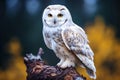 illustratio of a snowy owl in the forest. Generative AI