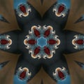 Illustration abstract kaleidoscope art wallpaper design and background