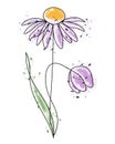 Illustration, abstract lilac watercolor chamomile flower, black outline with watercolor stains. Wall art, card, print Royalty Free Stock Photo