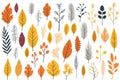 Art nature autumn background leaf set pattern Royalty Free Stock Photo