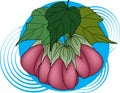 Illustration of Abutilon pictum flower with leaves on blue circle background