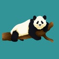 Illustration of adorable giant panda lying on a tree. Black and white bear. Vulnerable species.