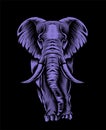 Illustration adult elephant on black background Royalty Free Stock Photo