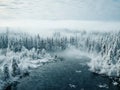 illustration of aerial view of stunning winter landscape with snow covered trees and beautiful down