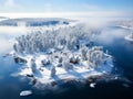 illustration of aerial view of stunning winter landscape with snow covered trees and cottages and beautiful down Royalty Free Stock Photo