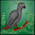 That is the illustration of African gray Parrot which is looking so nice