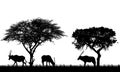 Illustration of African landscape on safari with antelopes or gazelles under tropical trees. Animals graze on the grass. Isolated