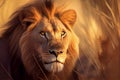 An Illustration of African Lion portrait, AI Generated image Royalty Free Stock Photo