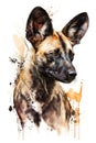 Illustration African wild dog in watercolor. Animal on a white background, generative AI Royalty Free Stock Photo