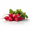 Illustration, AI generation. A bunch of round radishes with tops on a white background