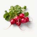 Illustration, AI generation. A bunch of round radishes with tops on a white background