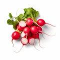 Illustration, AI generation. A bunch of round radishes with tops on a white background