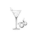 Illustration of alcohol cocktail cosmopolitan. Glass with summer cocktail and cranberry berrie white on background. Hand drawn