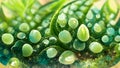 A aloe vera drops of liquid gel serum texture micro, digital illustration painting